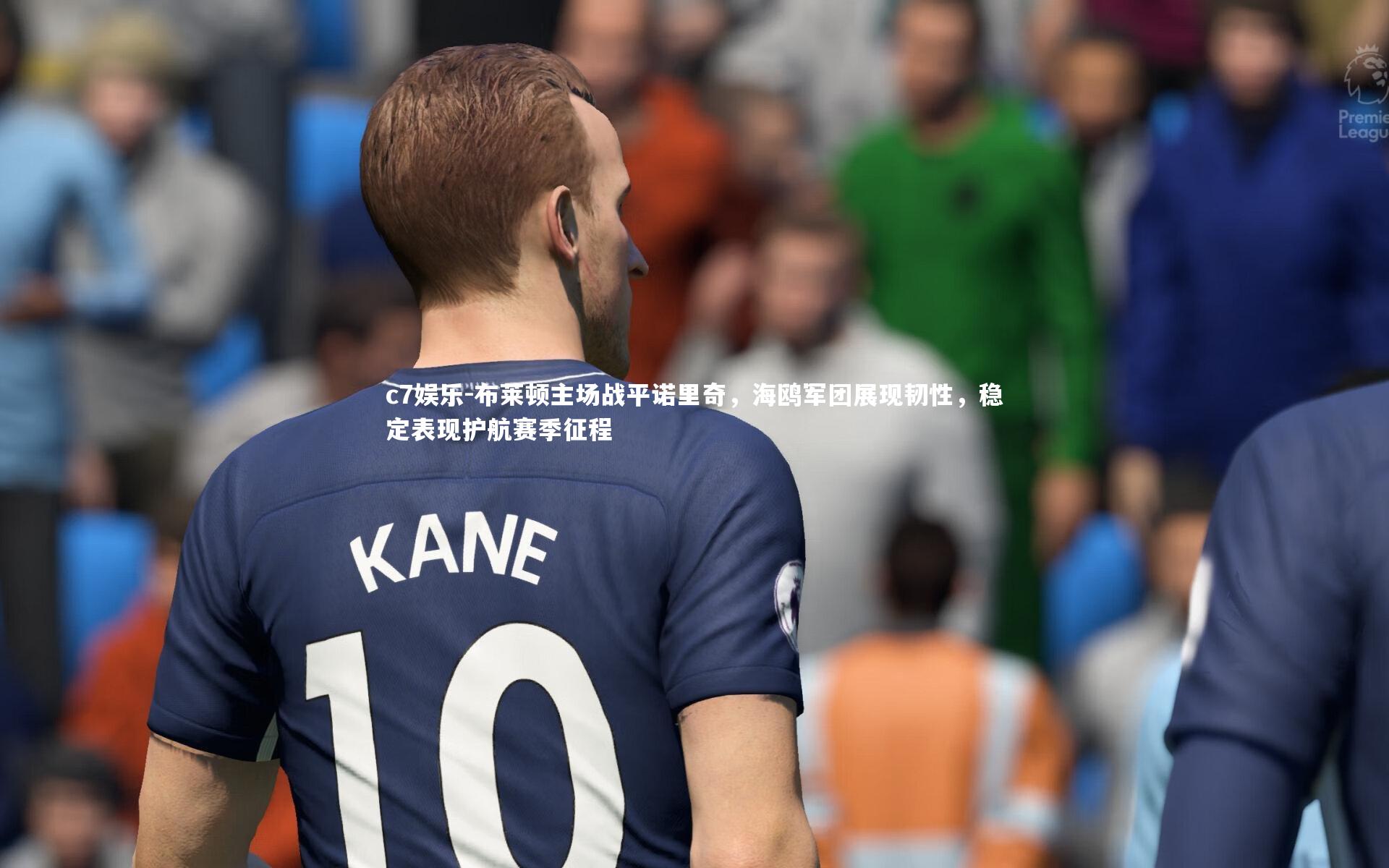 布莱顿主场战平诺里奇，海鸥军团展现韧性，稳定表现护航赛季征程